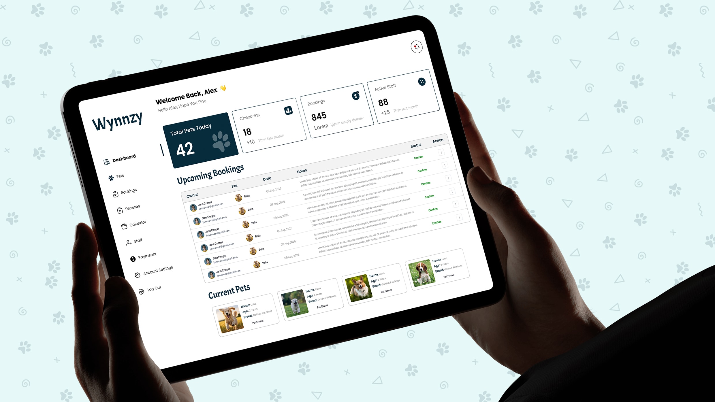 Wynnzy — CMS Website Experience